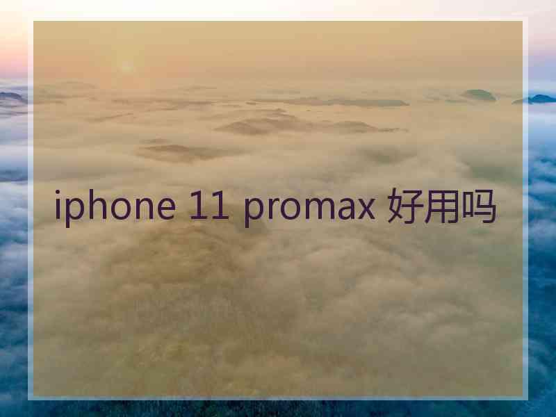 iphone 11 promax 好用吗