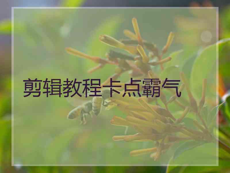 剪辑教程卡点霸气