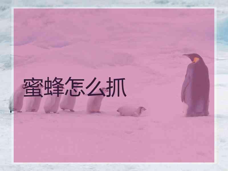 蜜蜂怎么抓