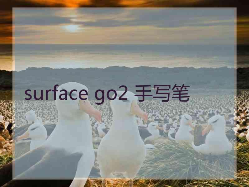 surface go2 手写笔