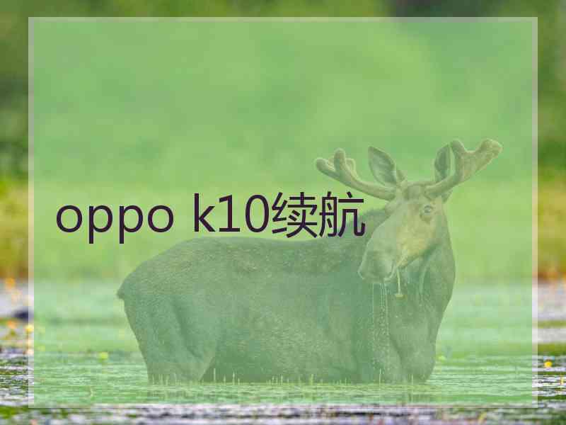 oppo k10续航