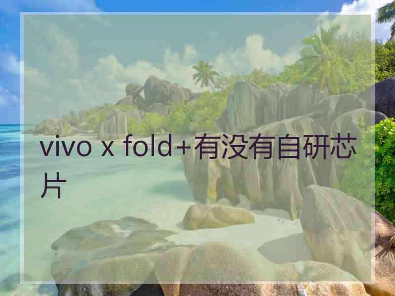 vivo x fold+有没有自研芯片