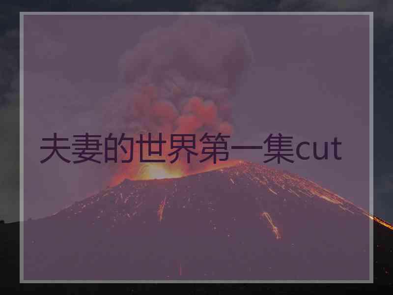 夫妻的世界第一集cut