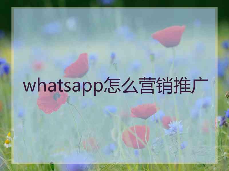 whatsapp怎么营销推广