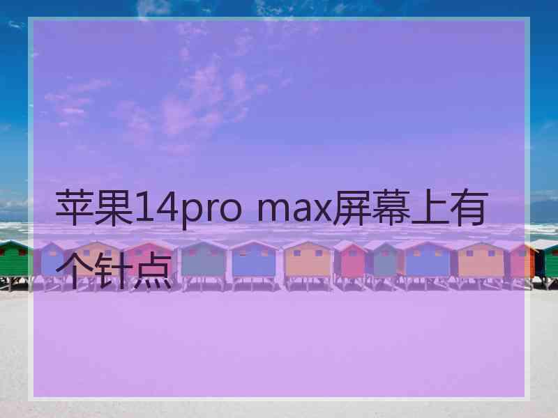 苹果14pro max屏幕上有个针点