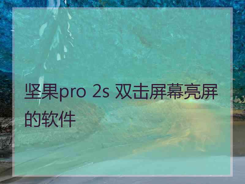 坚果pro 2s 双击屏幕亮屏的软件