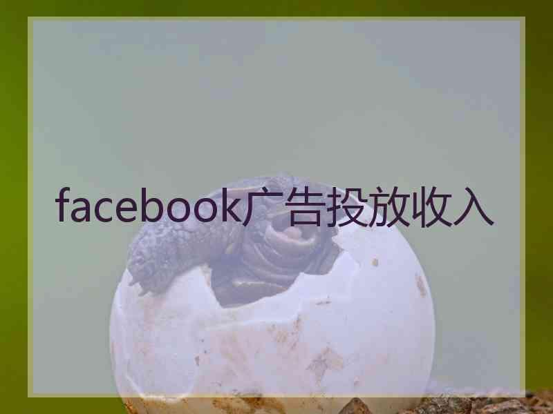 facebook广告投放收入