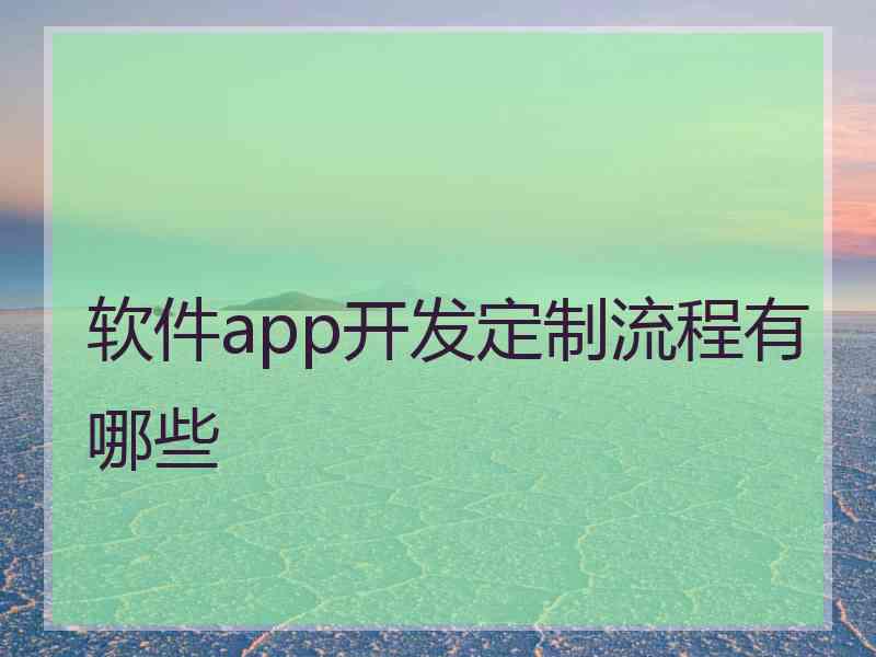 软件app开发定制流程有哪些