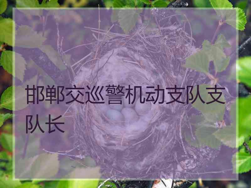 邯郸交巡警机动支队支队长