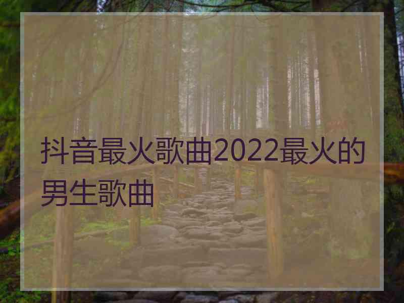 抖音最火歌曲2022最火的男生歌曲