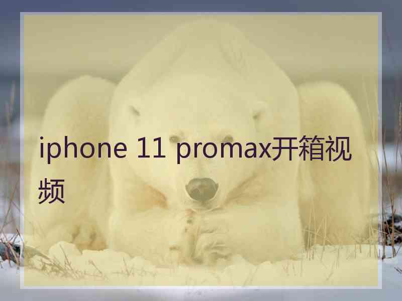 iphone 11 promax开箱视频