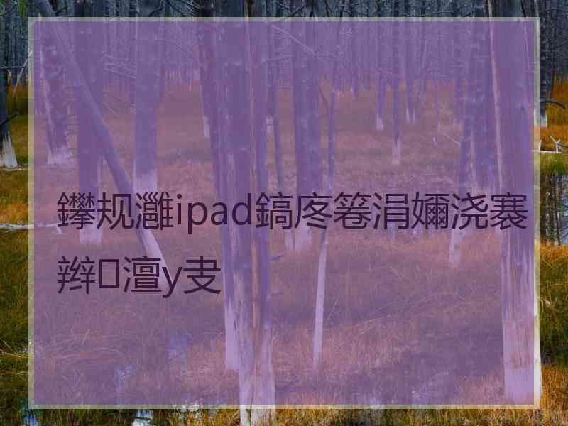 鑻规灉ipad鎬庝箞涓嬭浇褰辫澶у叏