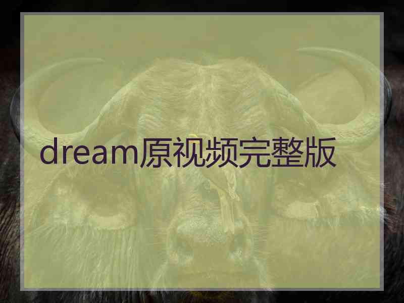 dream原视频完整版