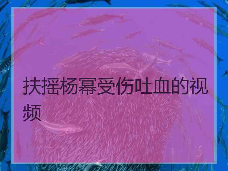 扶摇杨幂受伤吐血的视频