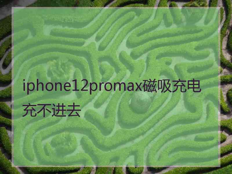 iphone12promax磁吸充电充不进去