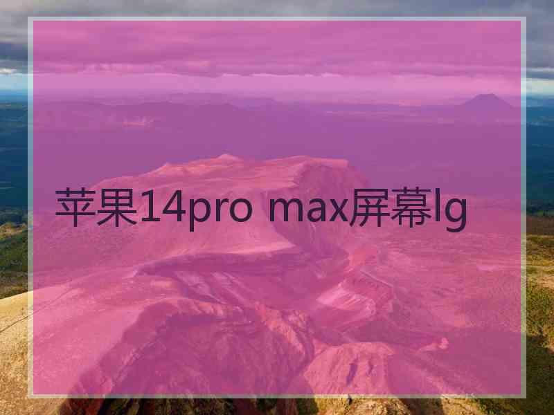 苹果14pro max屏幕lg