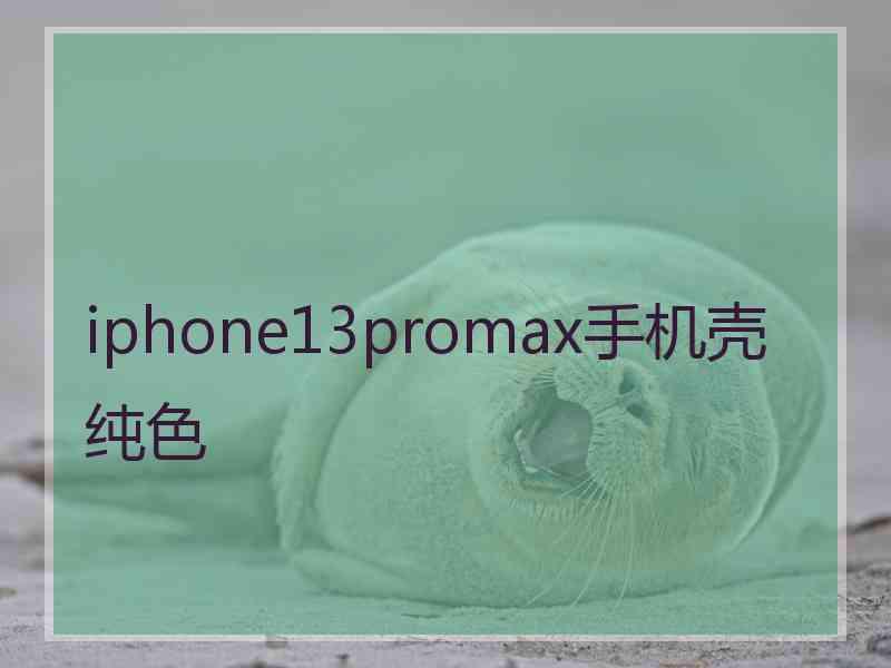 iphone13promax手机壳纯色