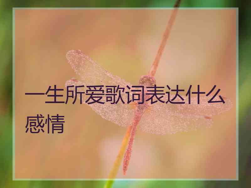 一生所爱歌词表达什么感情