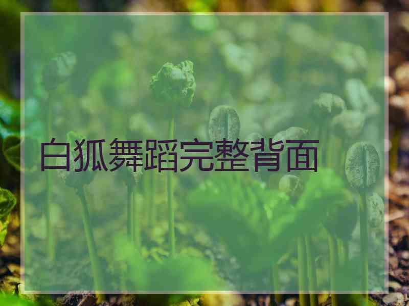 白狐舞蹈完整背面