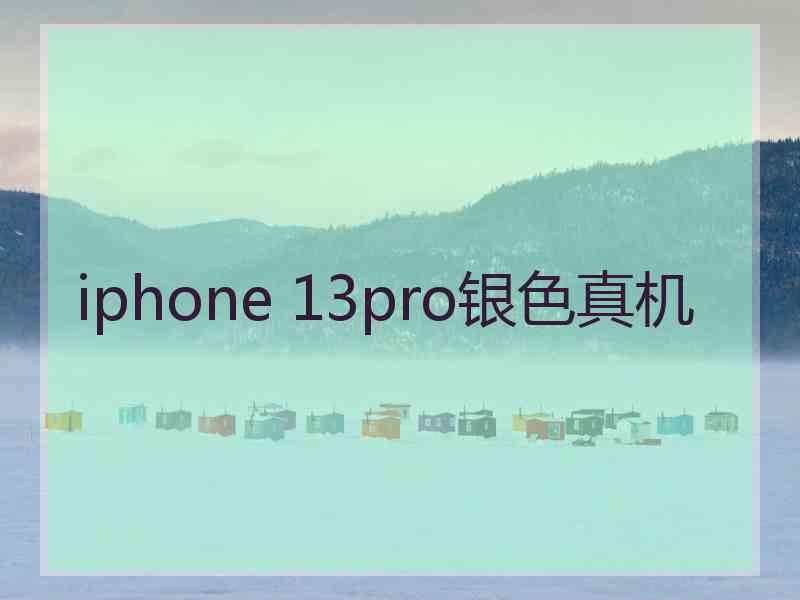 iphone 13pro银色真机