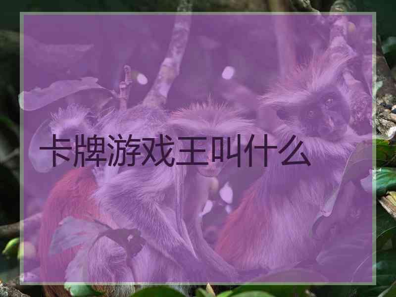 卡牌游戏王叫什么