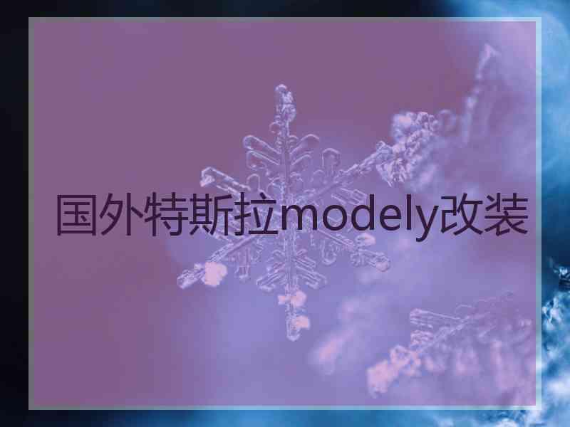 国外特斯拉modely改装