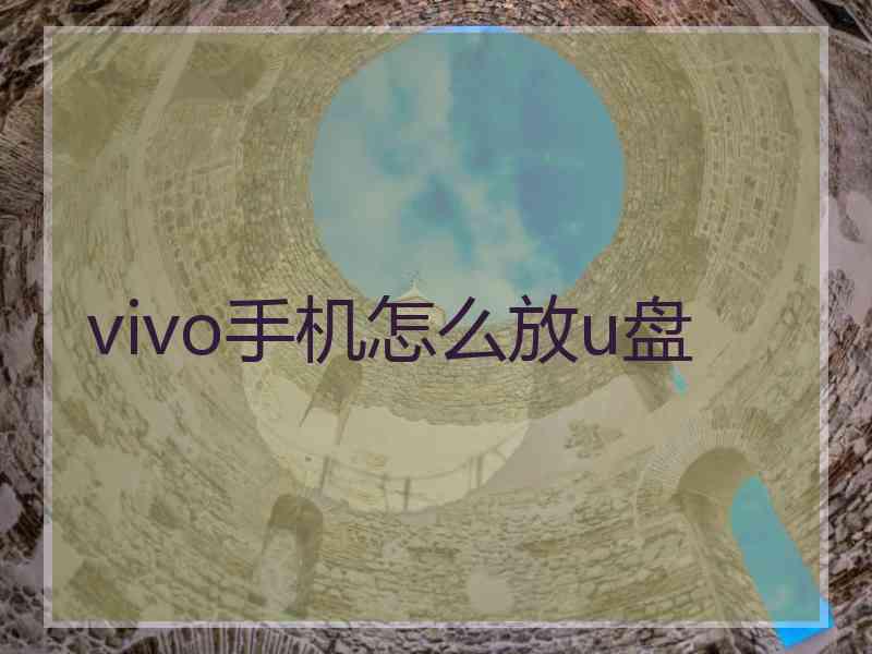 vivo手机怎么放u盘