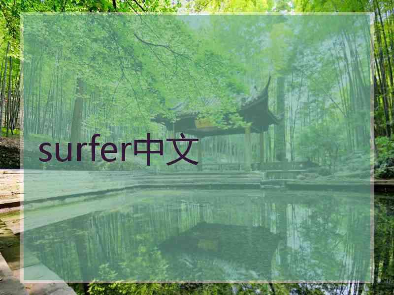 surfer中文