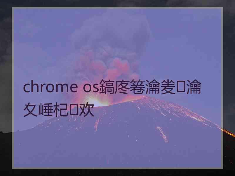 chrome os鎬庝箞瀹夎瀹夊崜杞欢