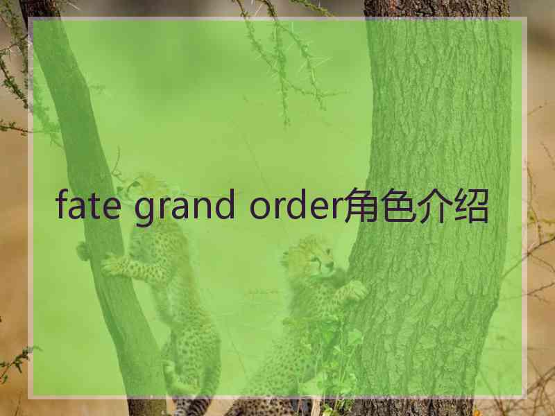 fate grand order角色介绍