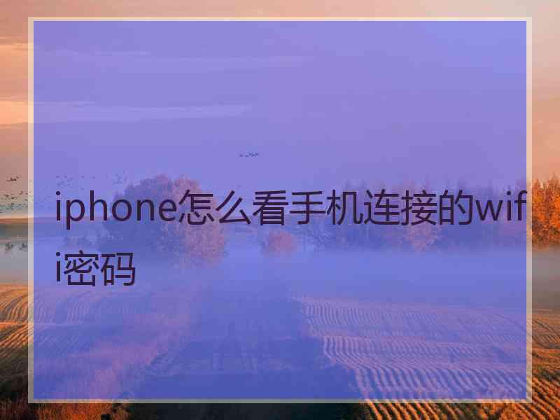 iphone怎么看手机连接的wifi密码