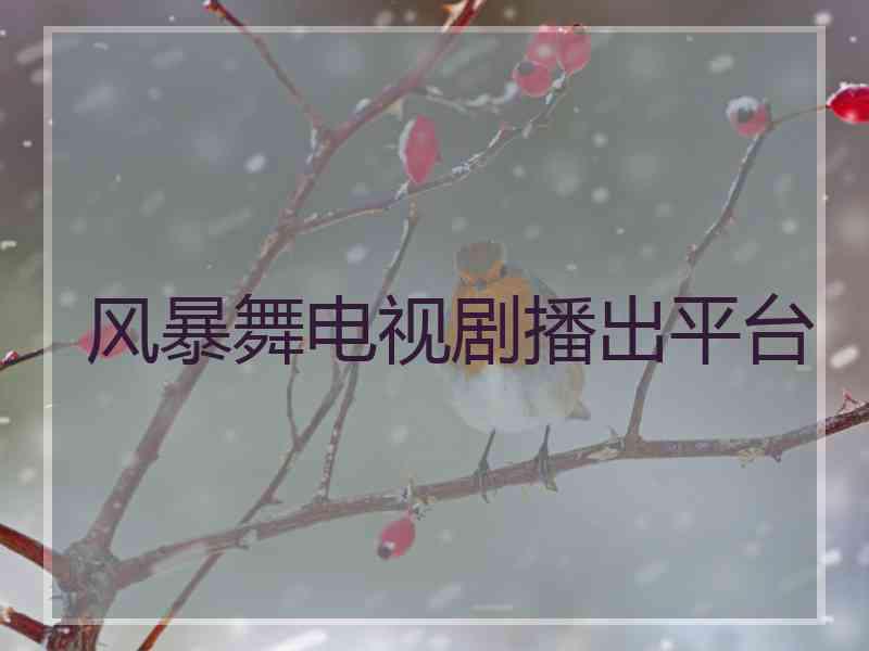 风暴舞电视剧播出平台