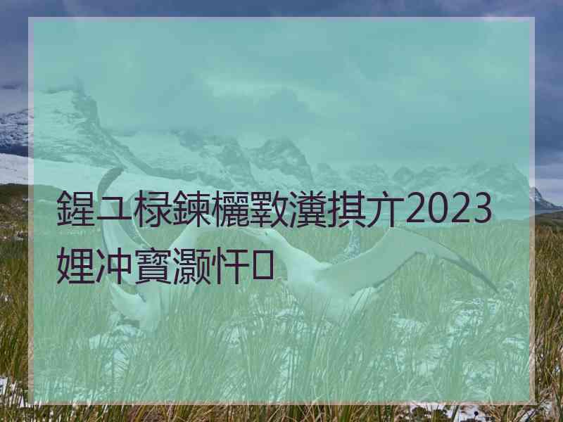 鍟ユ椂鍊欐斁瀵掑亣2023娌冲寳灏忓