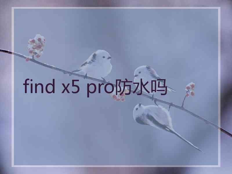 find x5 pro防水吗