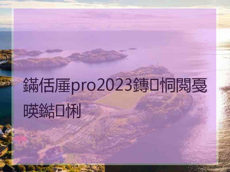 鏋佸厜pro2023鏄恫閲戞暎鐑悧