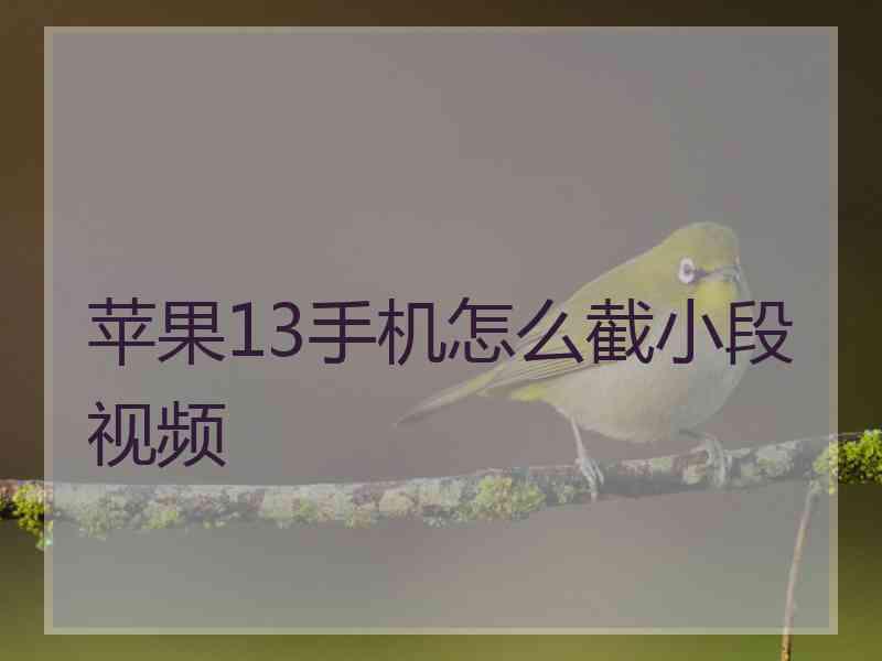 苹果13手机怎么截小段视频