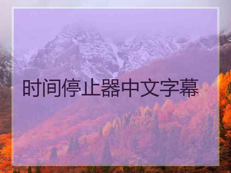 时间停止器中文字幕