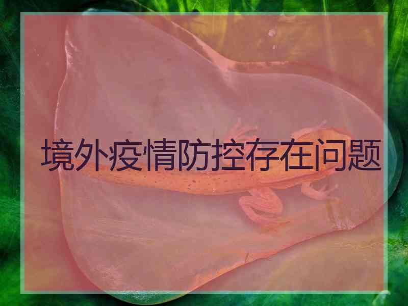 境外疫情防控存在问题