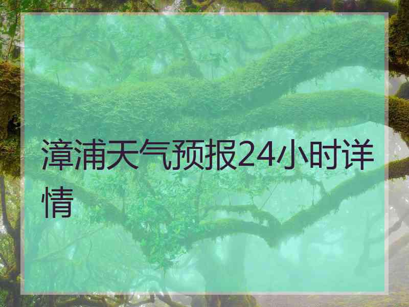 漳浦天气预报24小时详情