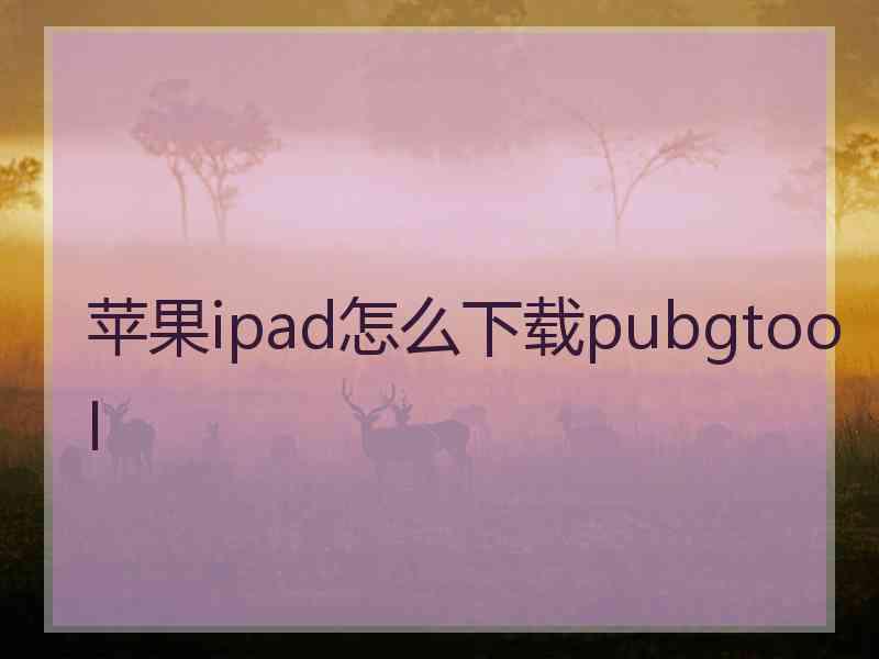 苹果ipad怎么下载pubgtool