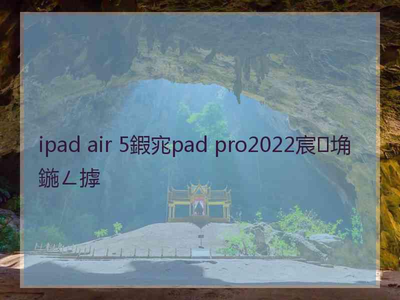 ipad air 5鍜宨pad pro2022宸埆鍦ㄥ摢