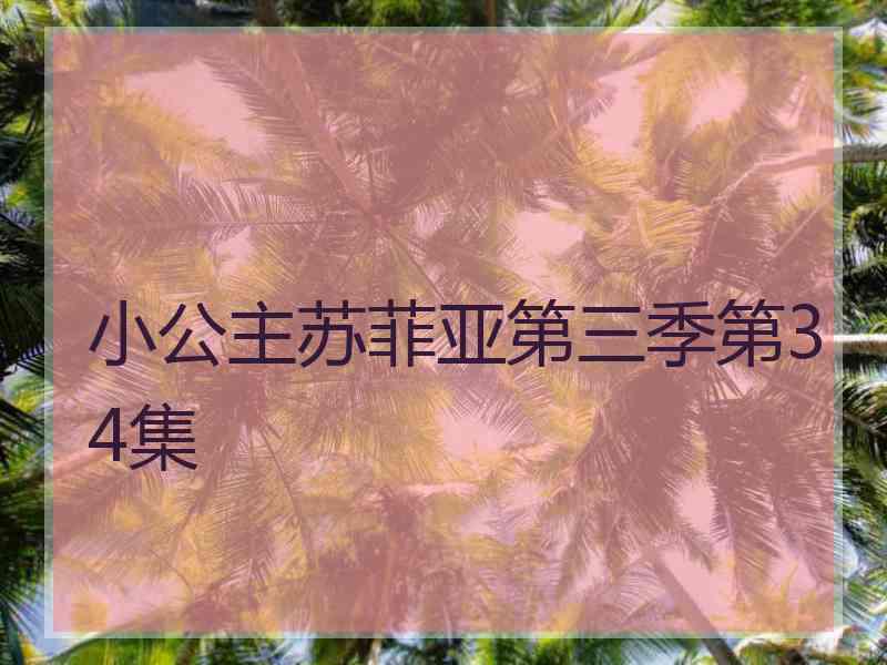 小公主苏菲亚第三季第34集