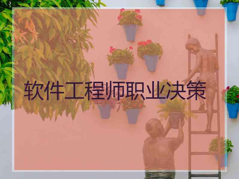 软件工程师职业决策