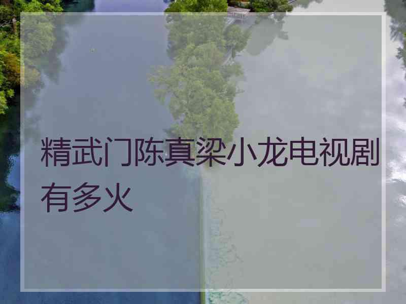 精武门陈真梁小龙电视剧有多火