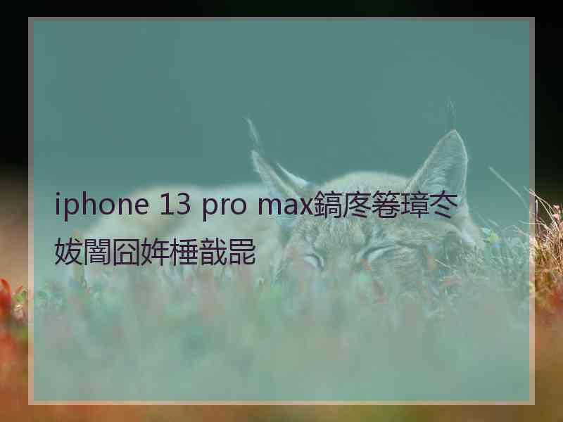 iphone 13 pro max鎬庝箞璋冭妭闇囧姩棰戠巼