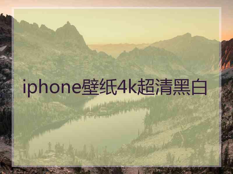 iphone壁纸4k超清黑白