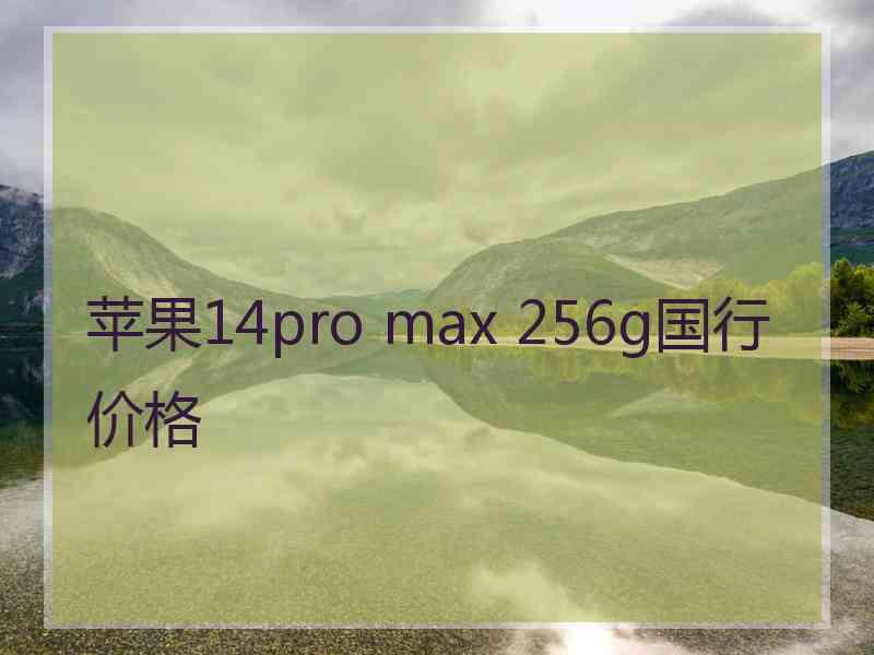 苹果14pro max 256g国行价格