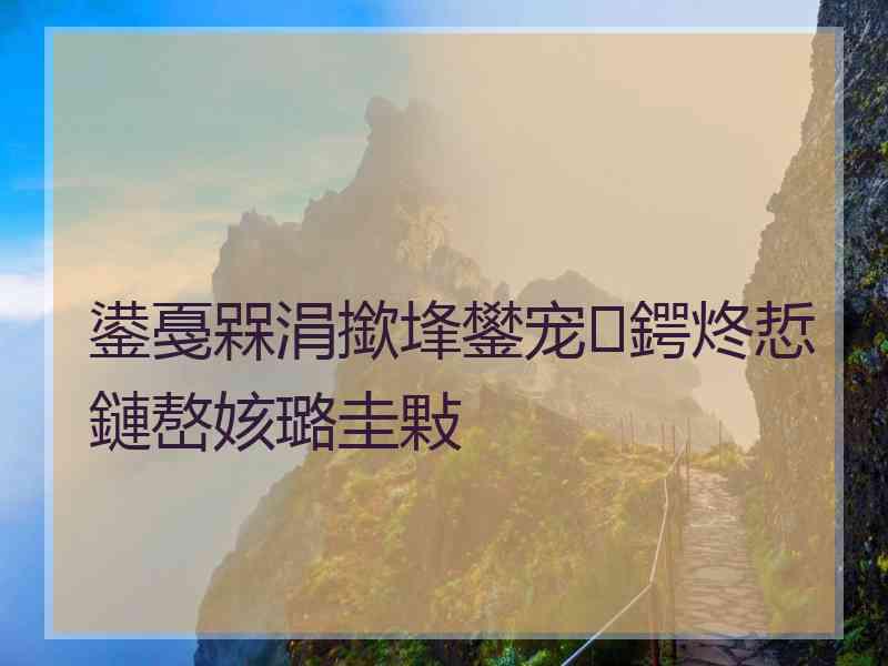 鍙戞槑涓撳埄鐢宠鍔炵悊鏈嶅姟璐圭敤