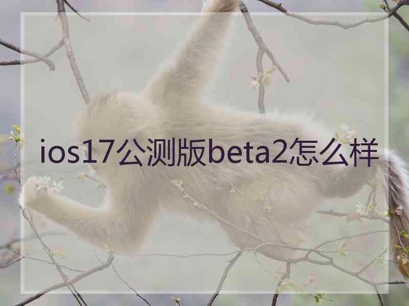 ios17公测版beta2怎么样