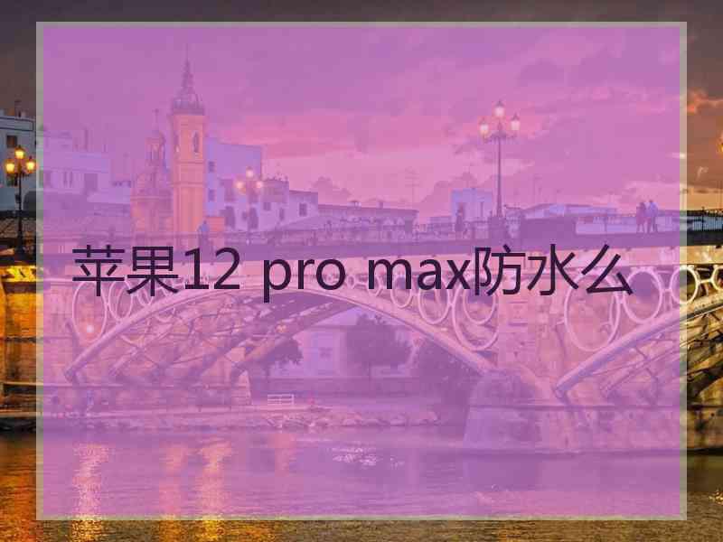 苹果12 pro max防水么